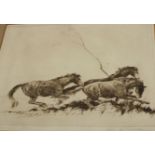 Horace William Williamson (1897-1968)'Dartmoor ponies'EtchingSigned in pencil to the margin21.5cm