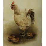 Neville Mardell (Contemporary)Hen and chicksWatercolourSigned and dated 200237.5cm x 29cm;A