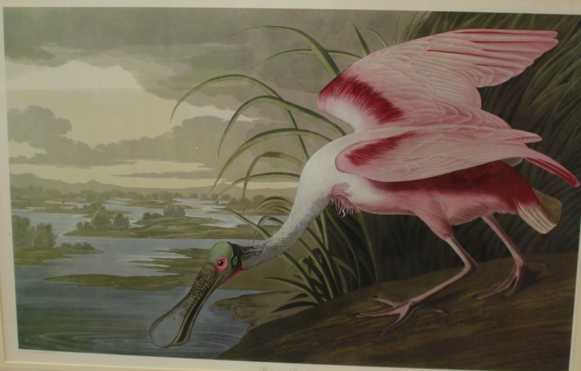 After John James Audubon (American, 1785-1851)'Louisiana Heron' and a 'Roseate Spoonbill'Colour