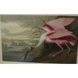 After John James Audubon (American, 1785-1851)'Louisiana Heron' and a 'Roseate Spoonbill'Colour