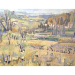 Diane Esmond (French, 1910 - 1981)Provence landscapeOil on canvasSigned lower right89cm x 116cm