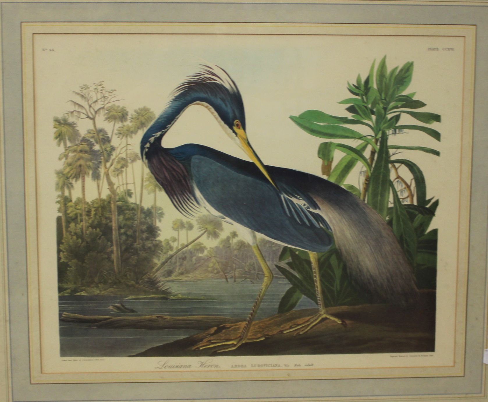 After John James Audubon (American, 1785-1851)'Louisiana Heron' and a 'Roseate Spoonbill'Colour - Image 2 of 2