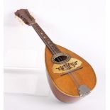 A Ricca Mandolin, no. 9074 and a Banjo Ukulele, in case (2)