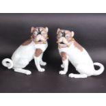 A pair of Dresden model pugs, marked to base, 21cm high (2)