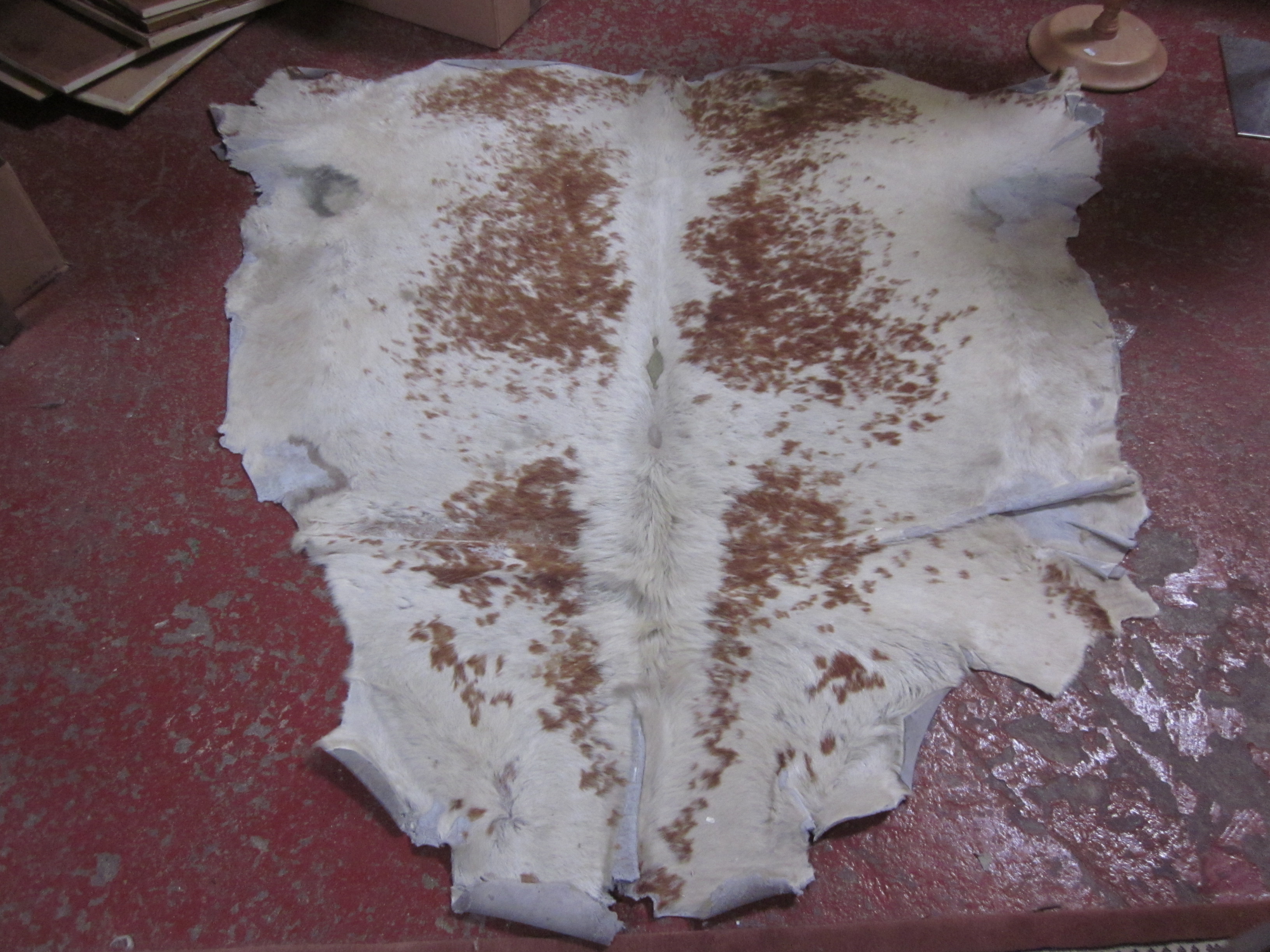 An animal skin rug approx 160 x 320cm
