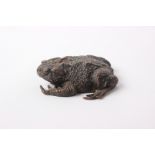 A naturalistic model of a toad, (af)