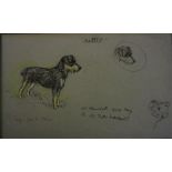 Sketches of various dogs attributed to George Vernon Stokes