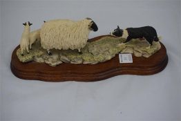 Border Fine Arts, "Black Faced Ewe and Collie" by Ayres