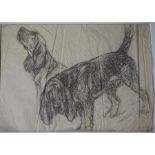Sketches of various dogs attributed to George Vernon Stokes