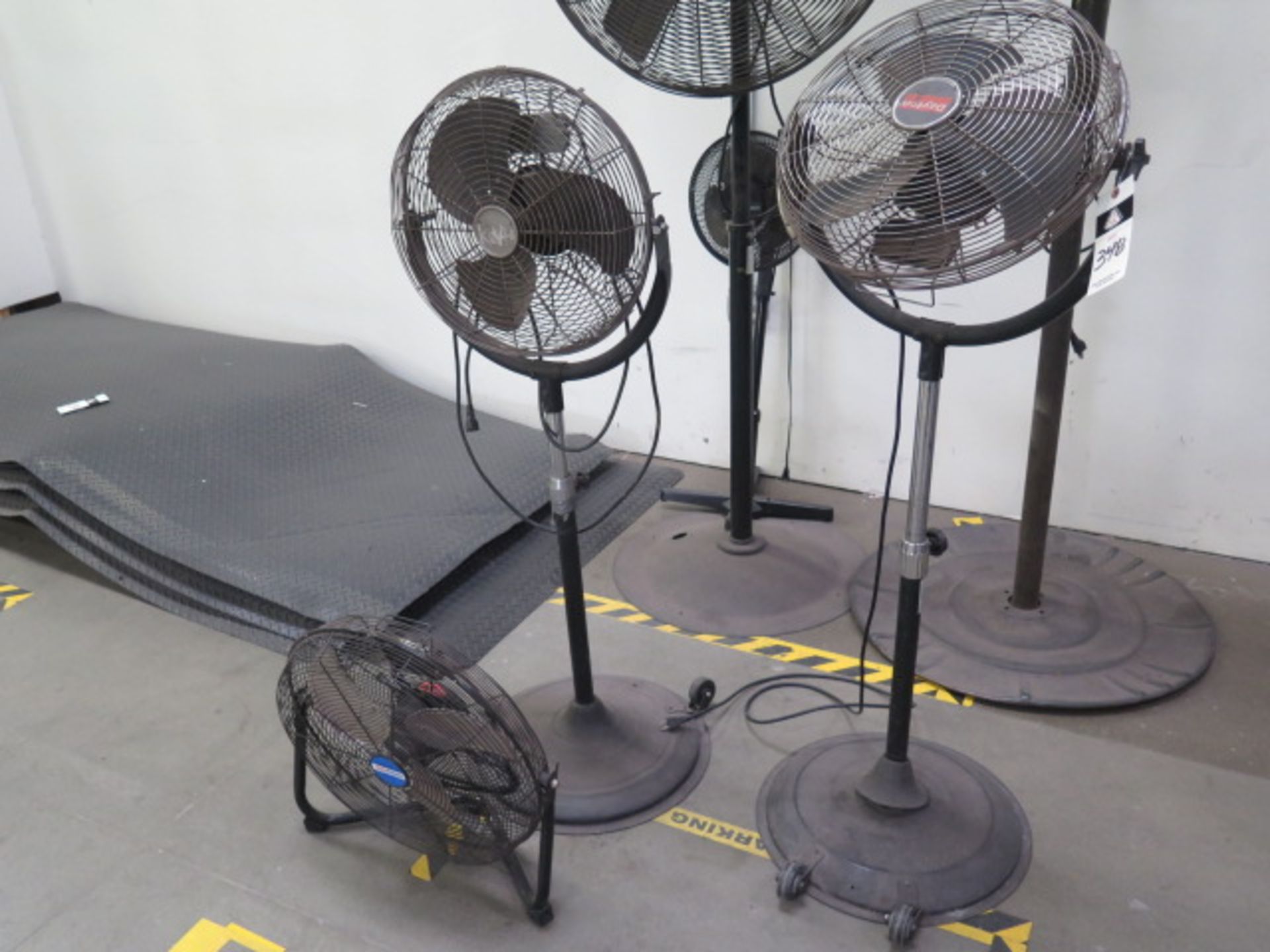 Shop Fans (3)