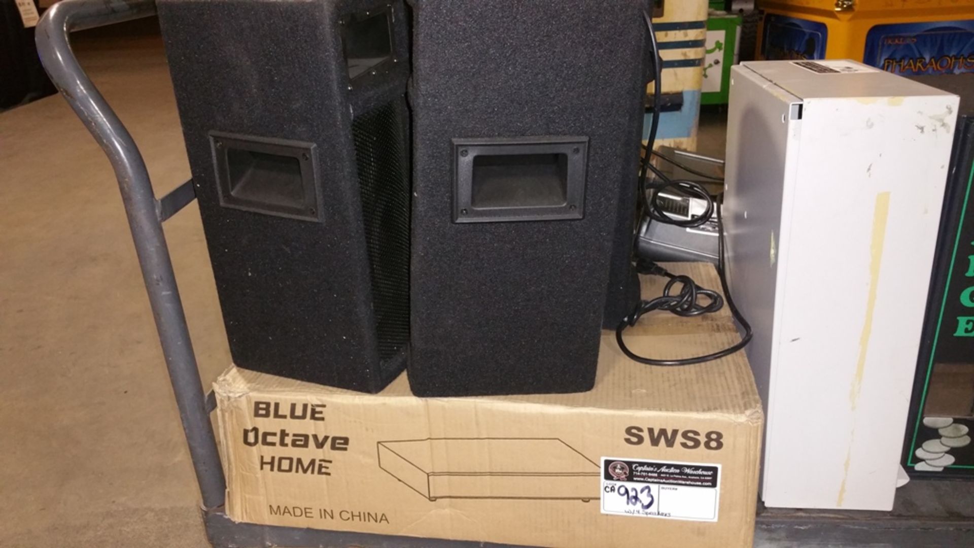 BLUE OCTAVE HOME SYSTEM POWER AMP AND SPEAKER SYSTEM