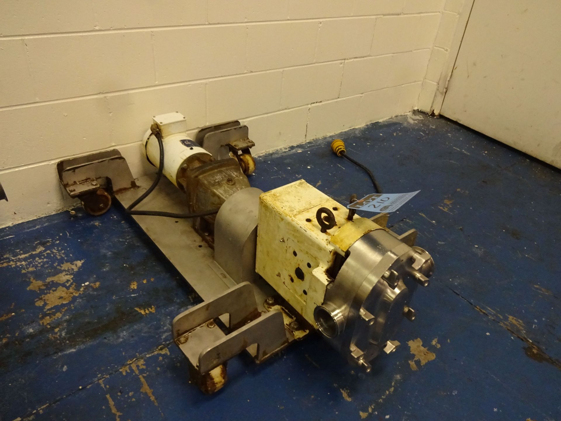 3" STAINLESS STEEL POSITIVE DISPLACEMENT PUMP; 2 HP MOTOR, 3" TRI-CLAMP INLET / OUTLET