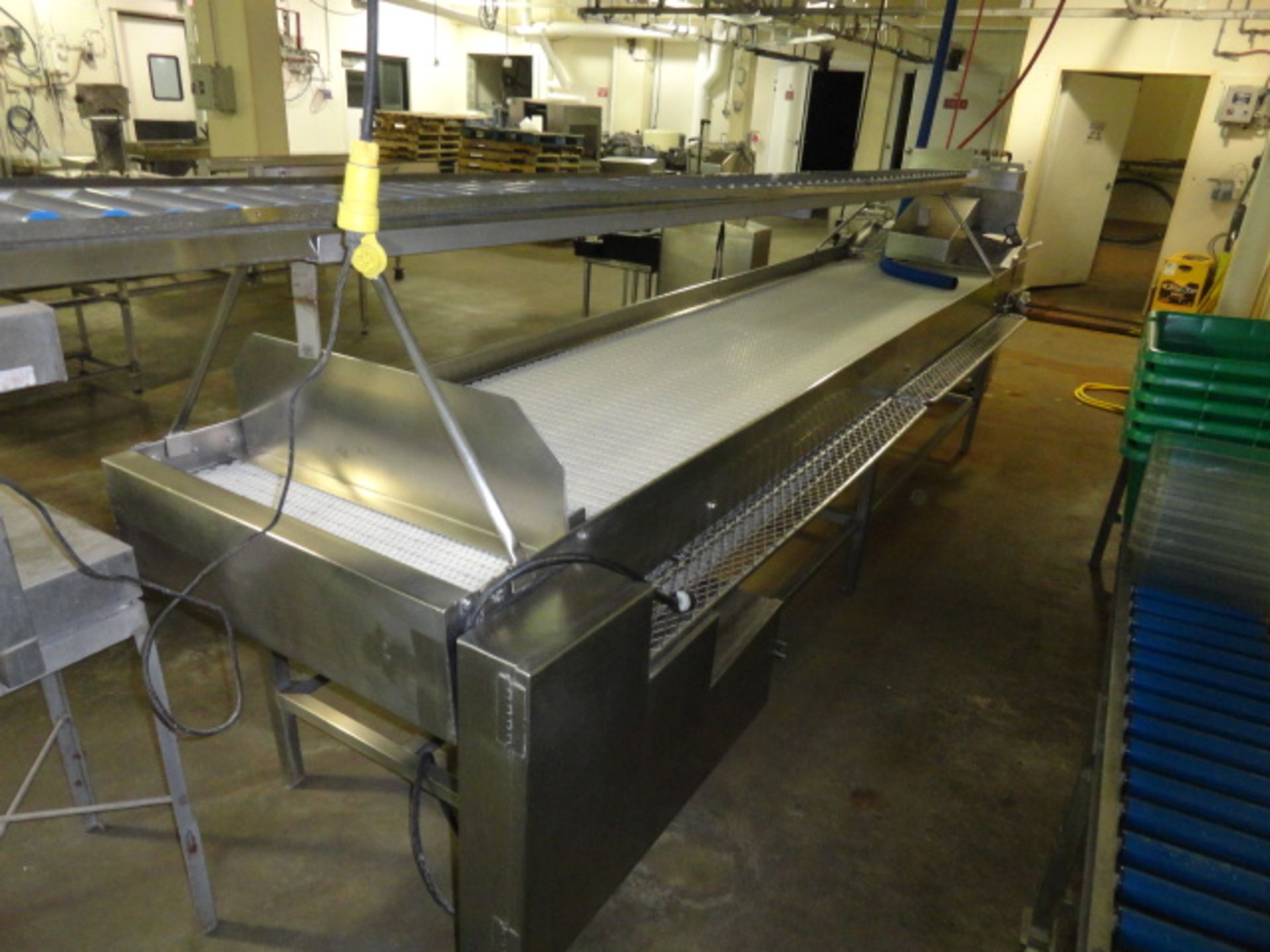 CUSTOM BUILT WIENER PACKING LINE, FUNNELED FEED FOR PEELER. - Image 4 of 6