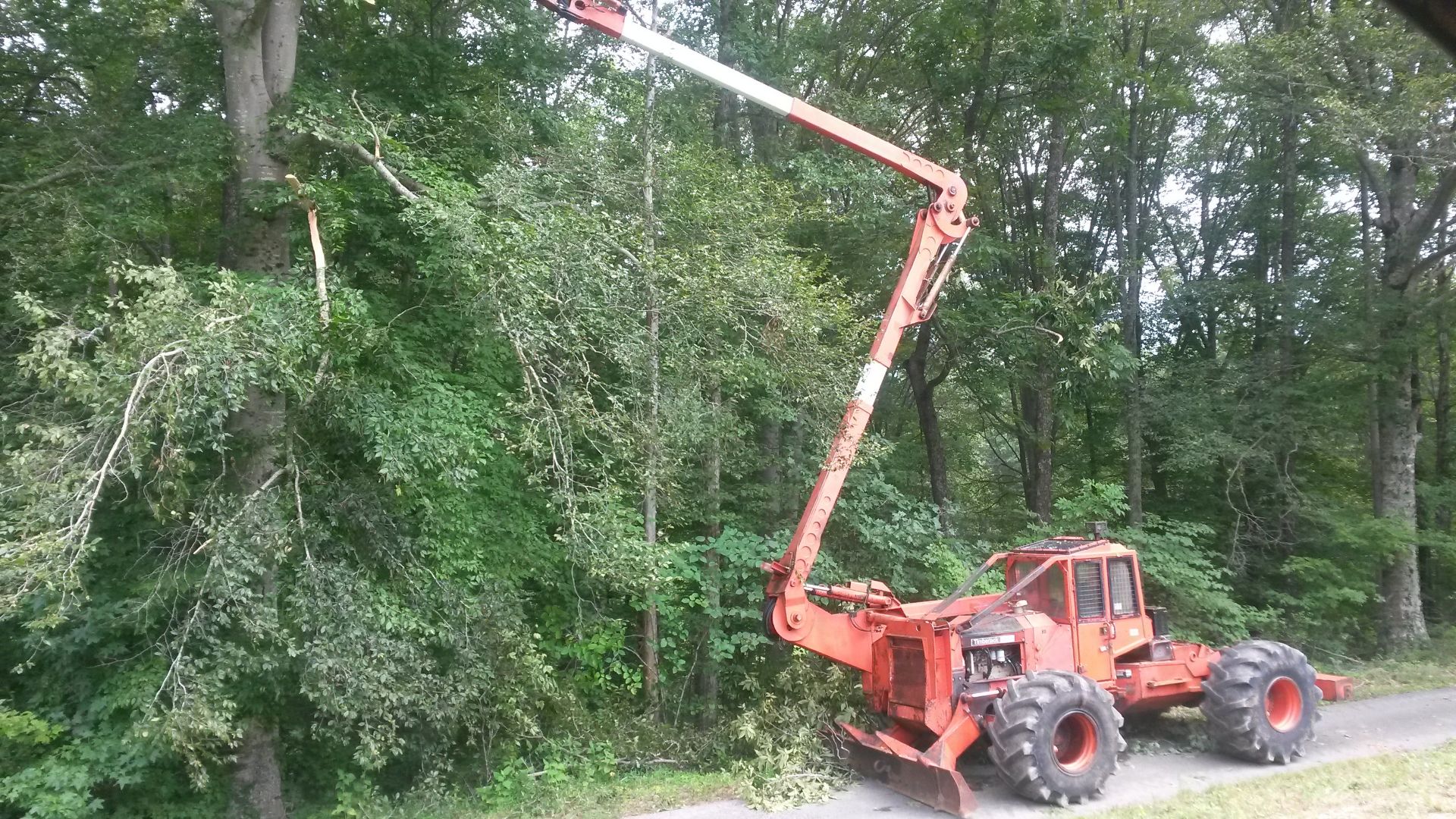 Timber Jack 380B Tree Trimmer, EROPS, Forestry Kit, 5.9 Cummins, Heat and Air, SN AC2484 (Located at - Image 3 of 7