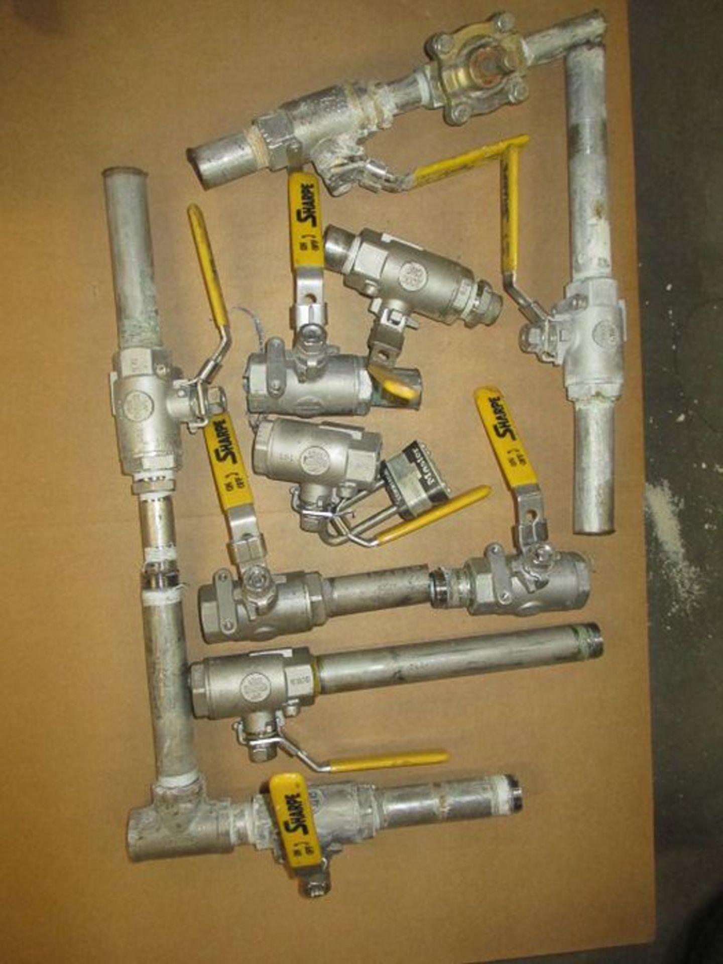 (4) 2" S/S Ball Valves: (2) 1" S/S GlobeValves ; (10) 1" S/S Ball Valves, (3) NEW S/S Ball Valves - Image 7 of 14