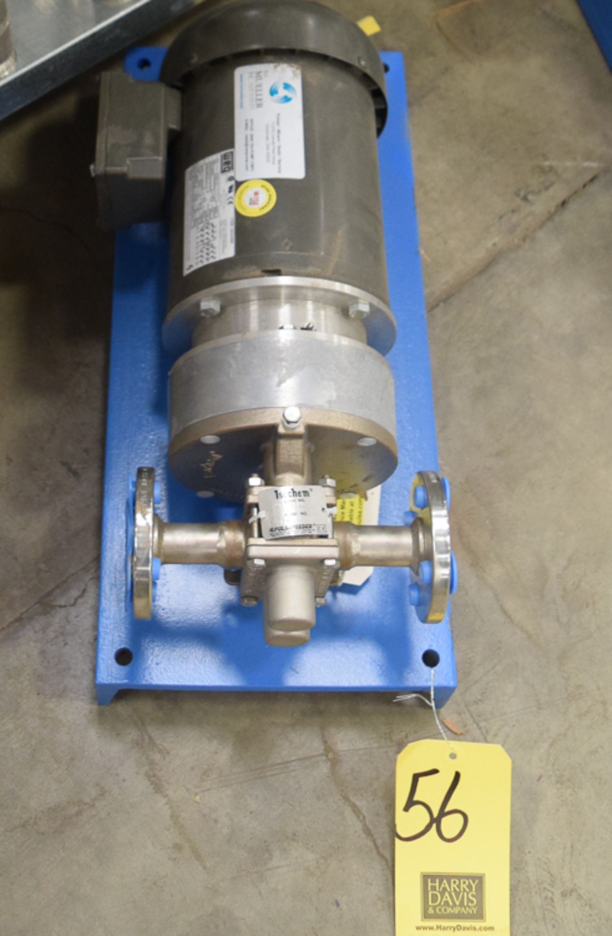 NEW Mueller 1-1/2 HP Metering Pump, Model P255B with Chem-Tech Series 150 Pulsafeeder Metering Pump,