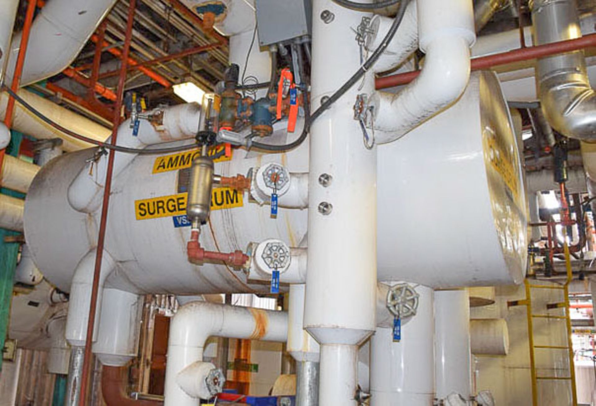 Ammonia Surge Drum and Controls