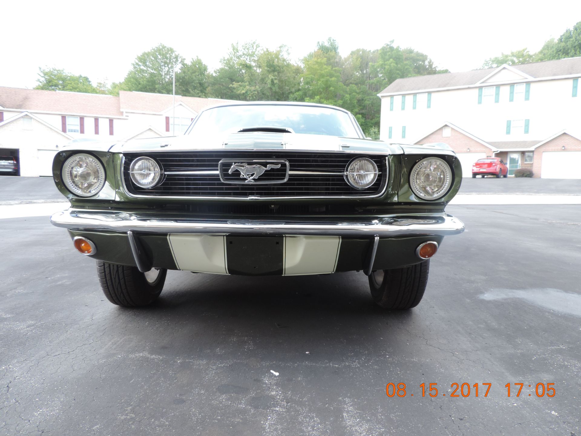 1966 Ford Mustang Shelby Tribute