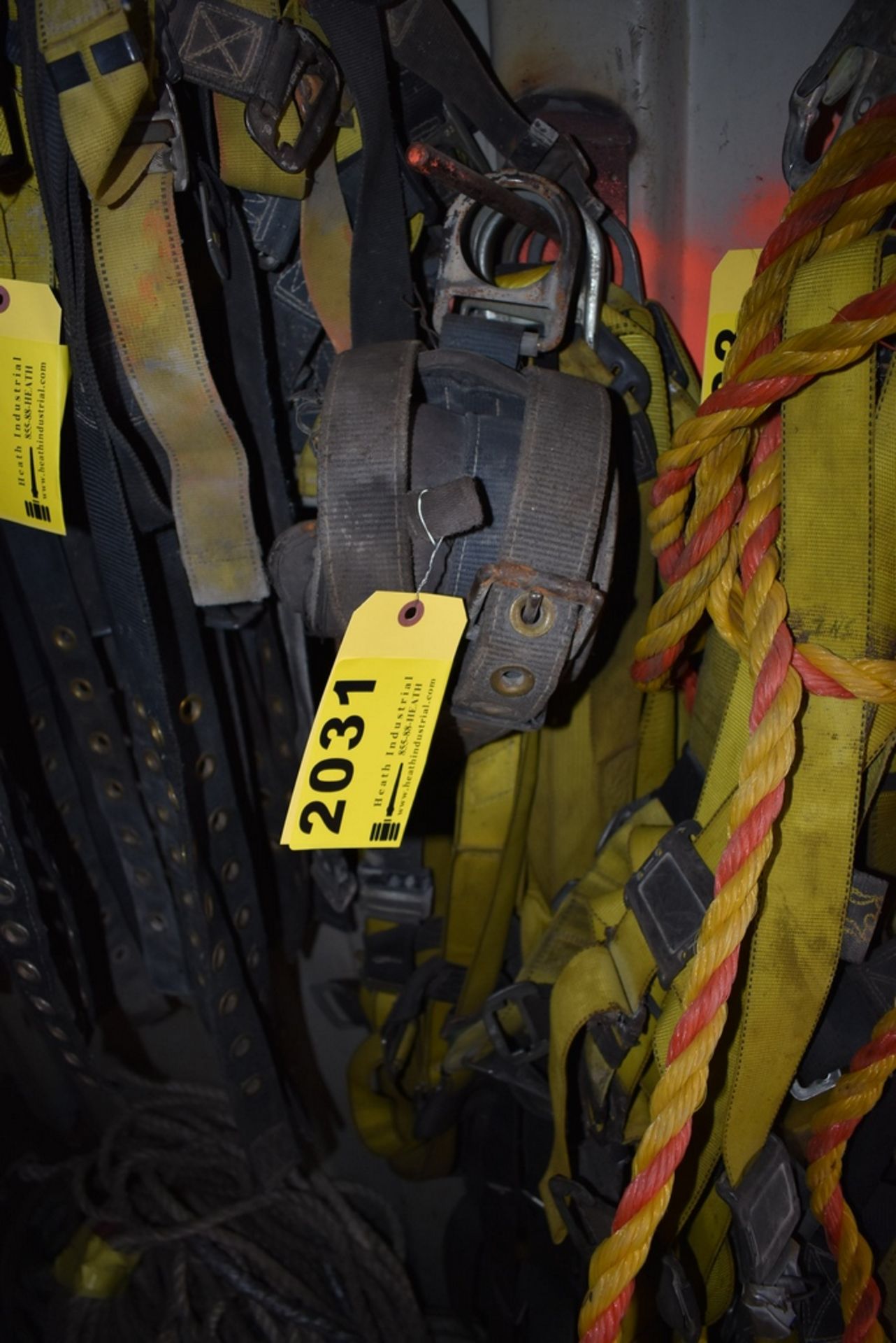 ASSORTED SAFETY HARNESSES