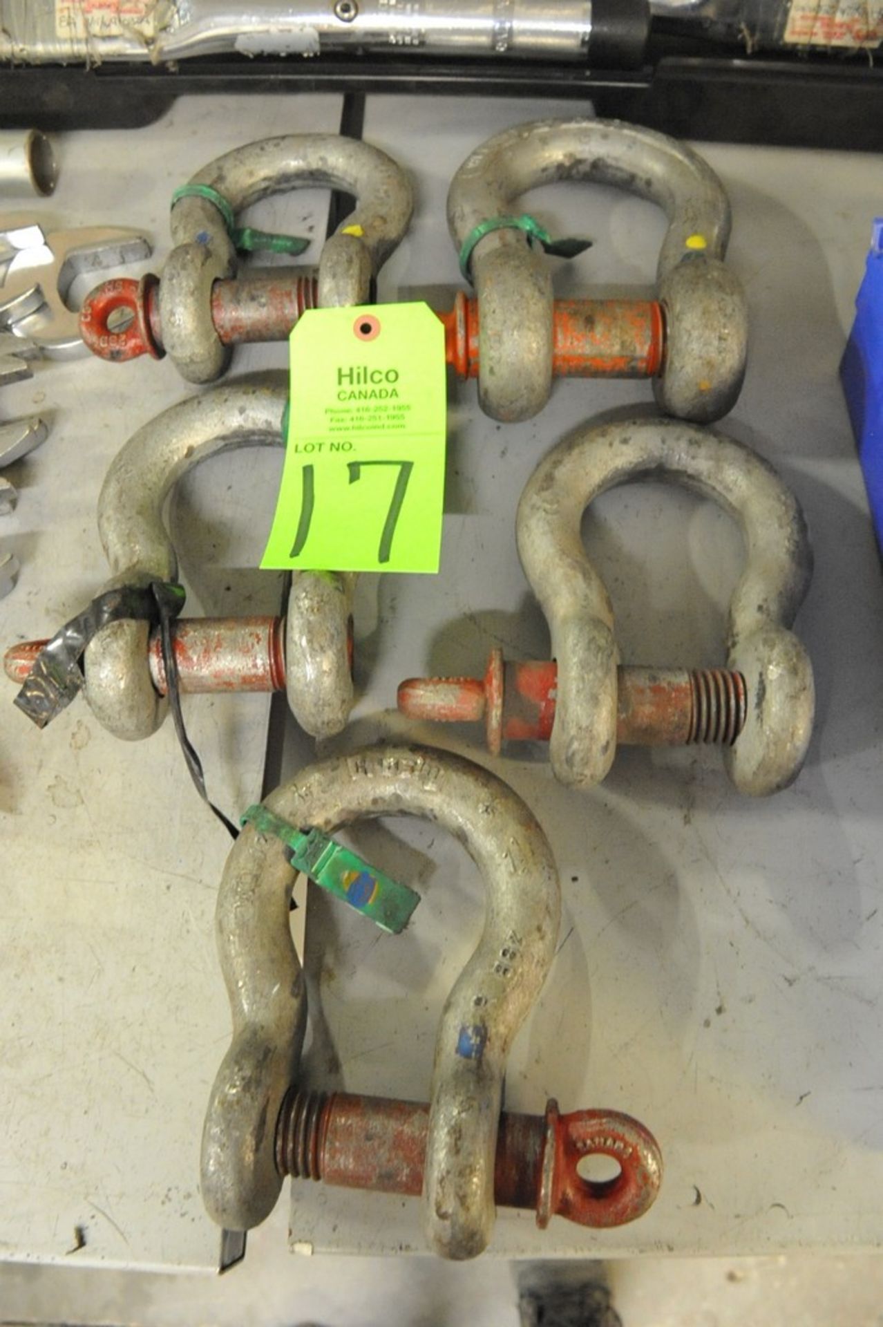 Lot of Asst. Shackles