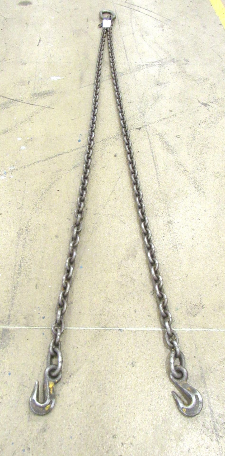 9' 2-Hook Chain