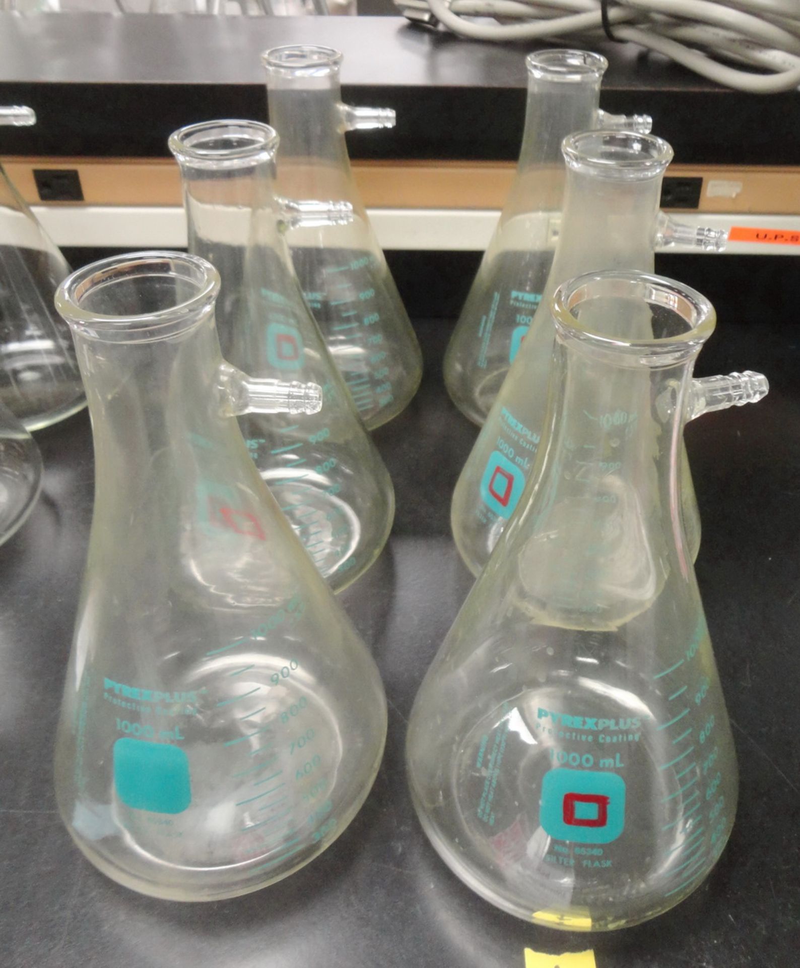 (6) 1,000 ml Erlenmeyer clear filter flasks, coated