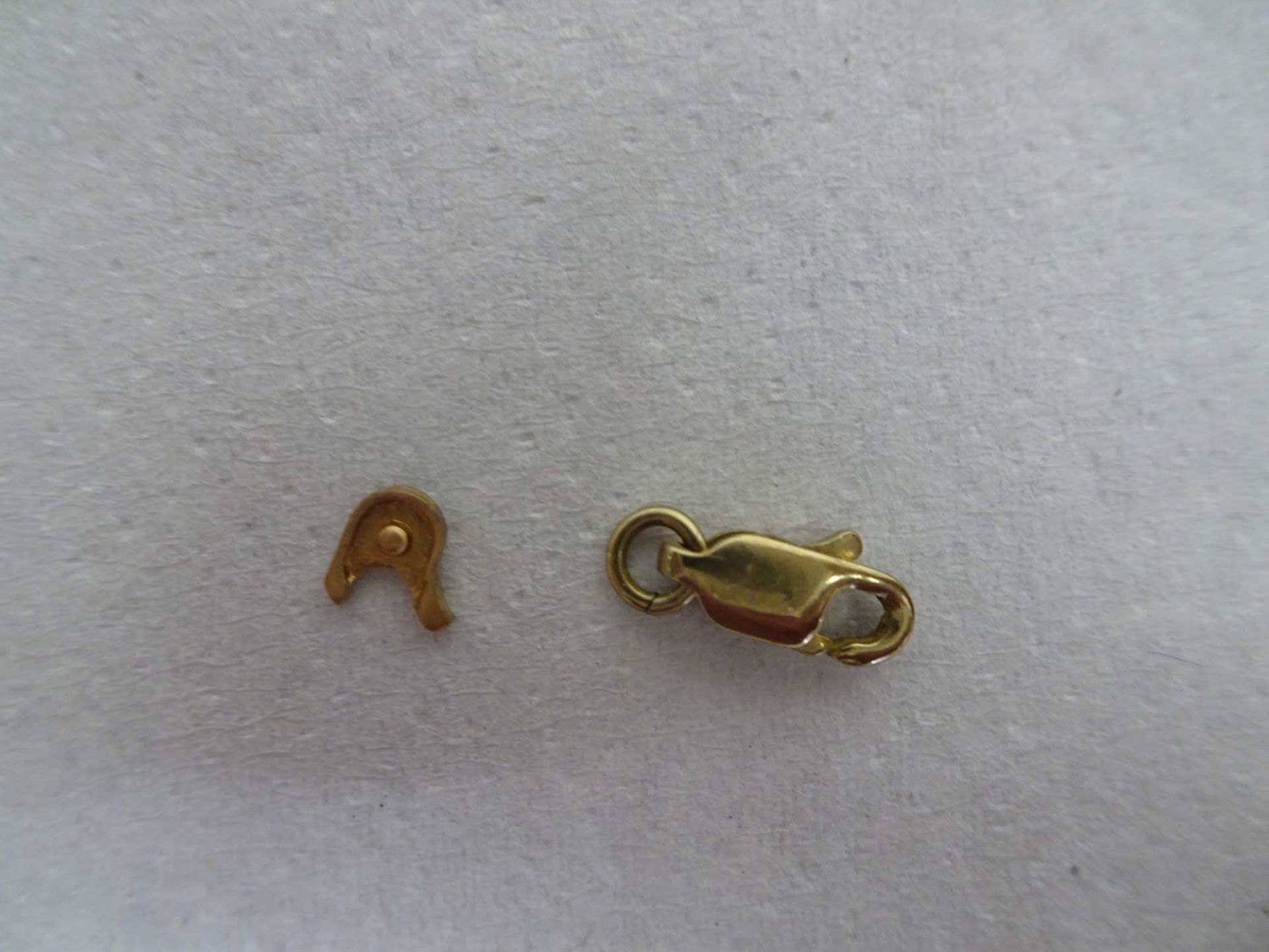 LOBSTER CLAW DIE SET, INCLUDING LOBSTER SHELL DIE & CRICKET DIE - Image 4 of 4