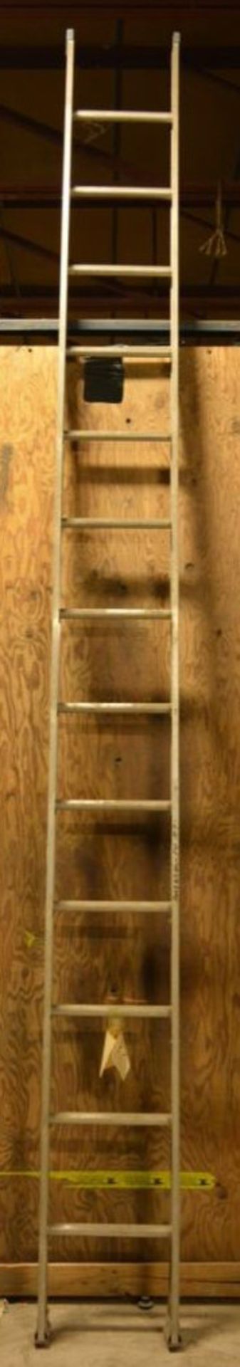 American 14' Aluminum Straight Ladder