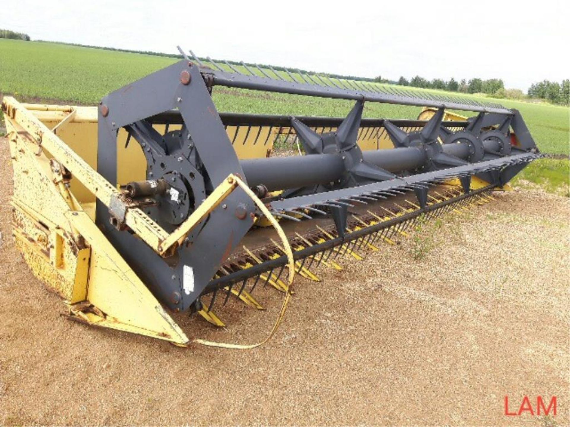 960 New Holland 20 ft Straight Cut Header Pickup Reel, Crop Lifters sn 356928