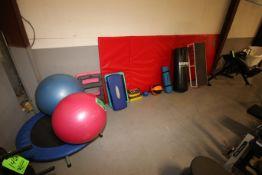 (16) Pcs. - Assorted Exercise Equipment includes (2) Exercise Balls; Mini 36" Exercise