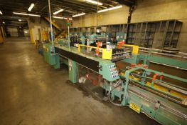 B & B Drop Caser, with 14" Wide Conveyor, Infeed/Outfeed Conveyor