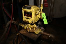 Price 2 hp Explosion Proof Pump, M/N SP15, Includes Neptune Meter, M/N 432, Mounted on Skid,