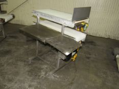 Stainless Steel Conveyor - 2-Tier Motorized Poly Belt/Roll Conveyor, 36 in. Length, SS Frame/Base