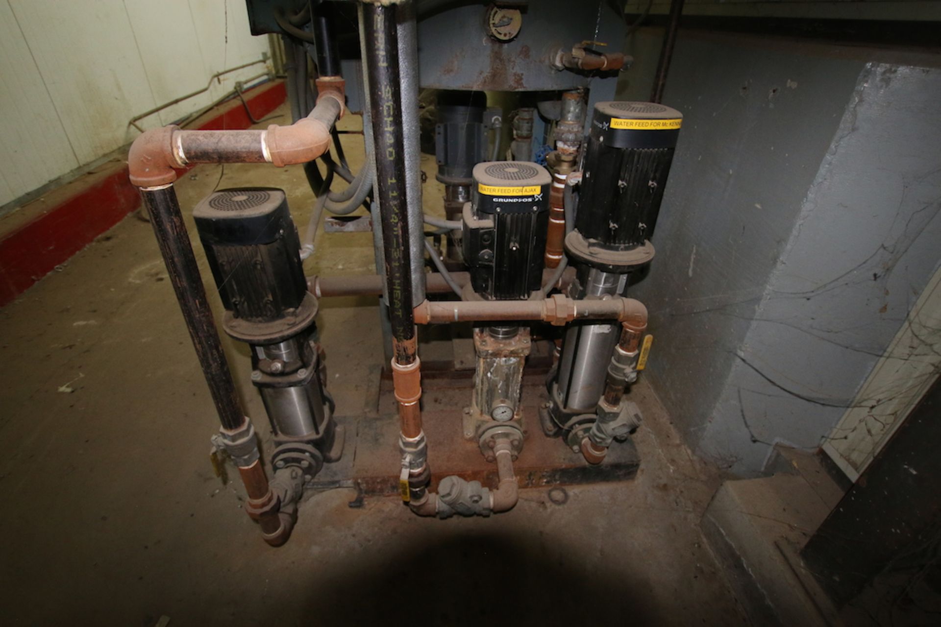 Boiler Dearator with (4) Grundfos Pumps - Image 4 of 10