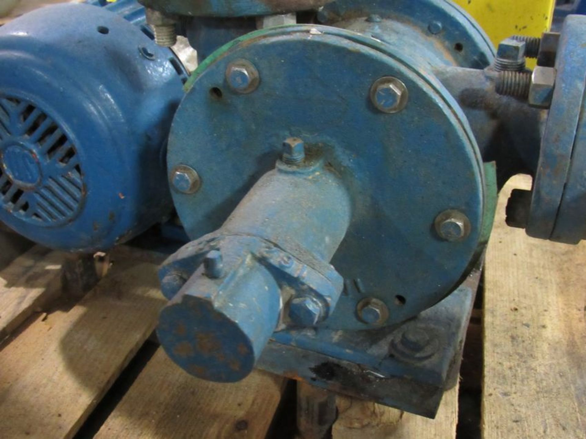 Viking Like Positive Displacement Pump with relief valve, 2 HP Motor, 220V/440Volts. 350RPM Final - Image 6 of 8