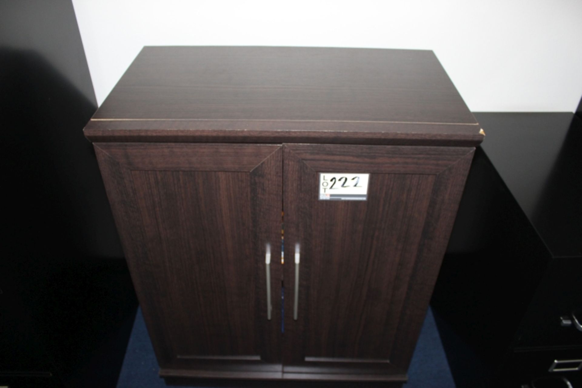 2 Door Wooden Cabinet