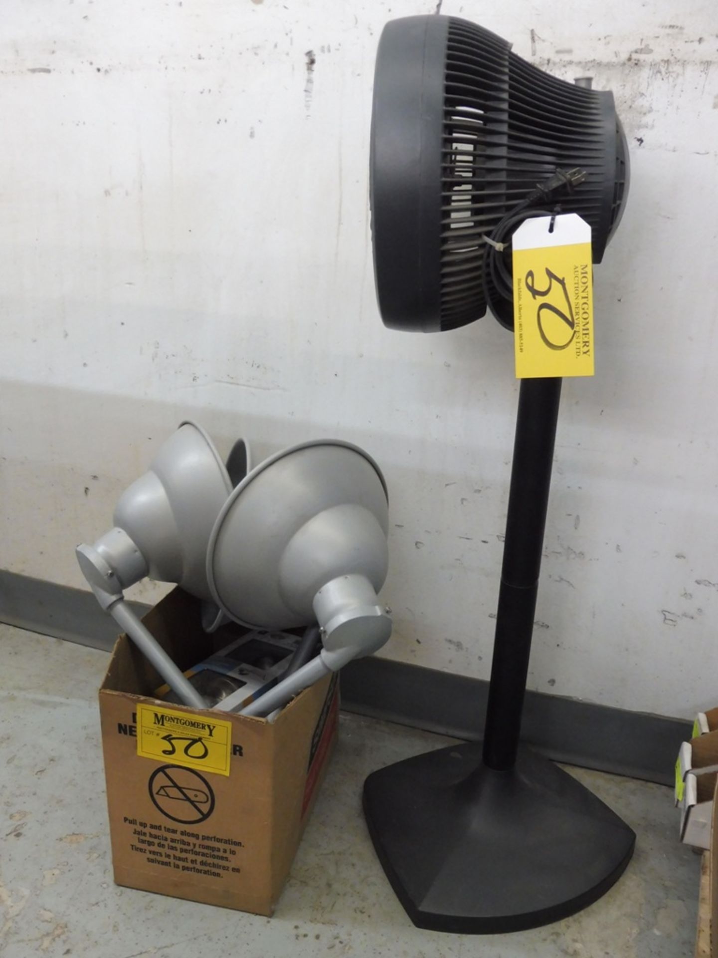 DOMESTIC PEDISTAL FAN & SHOP LIGHTS