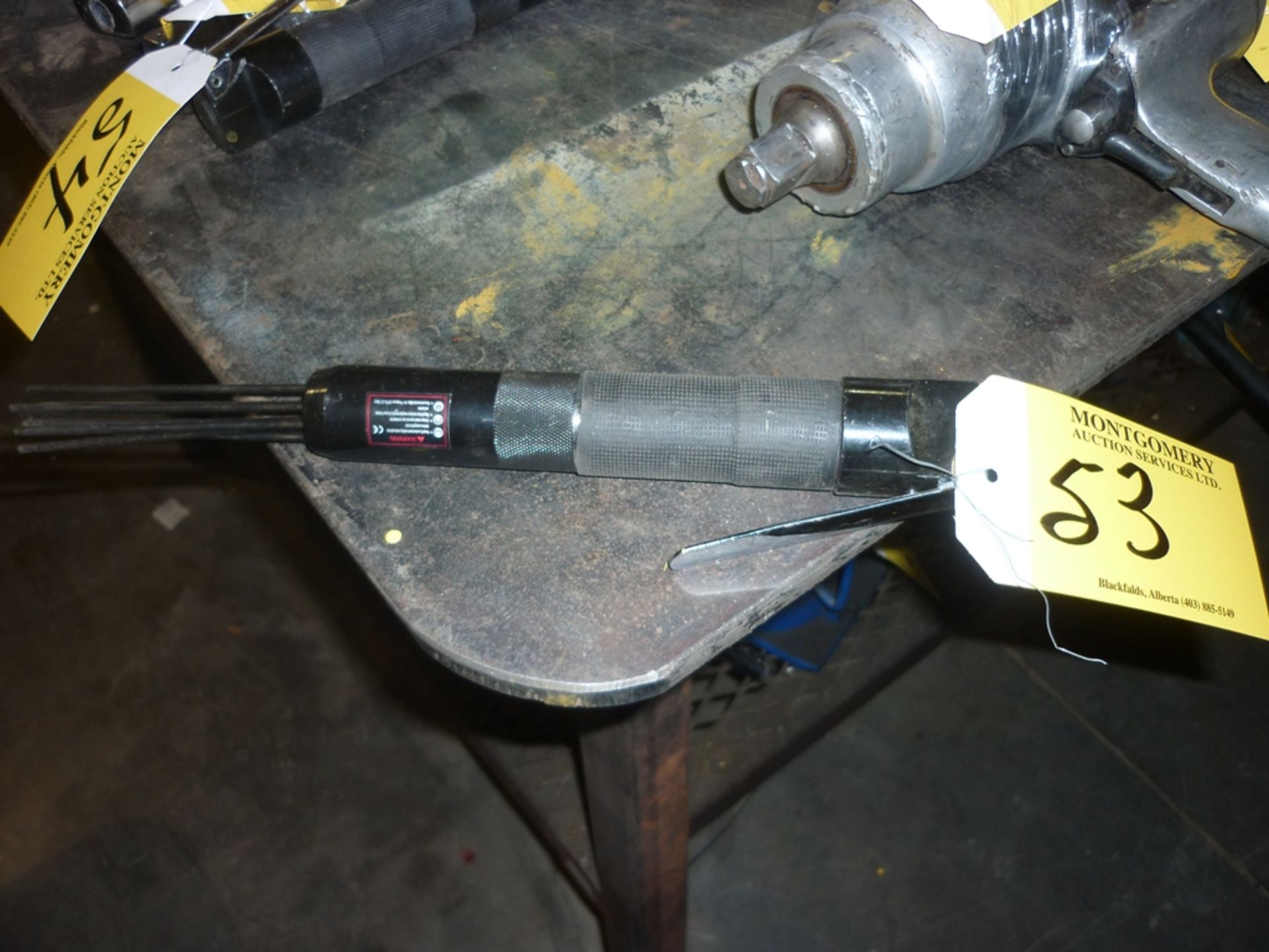 AIR OPERATED DE-SCALER TOOL