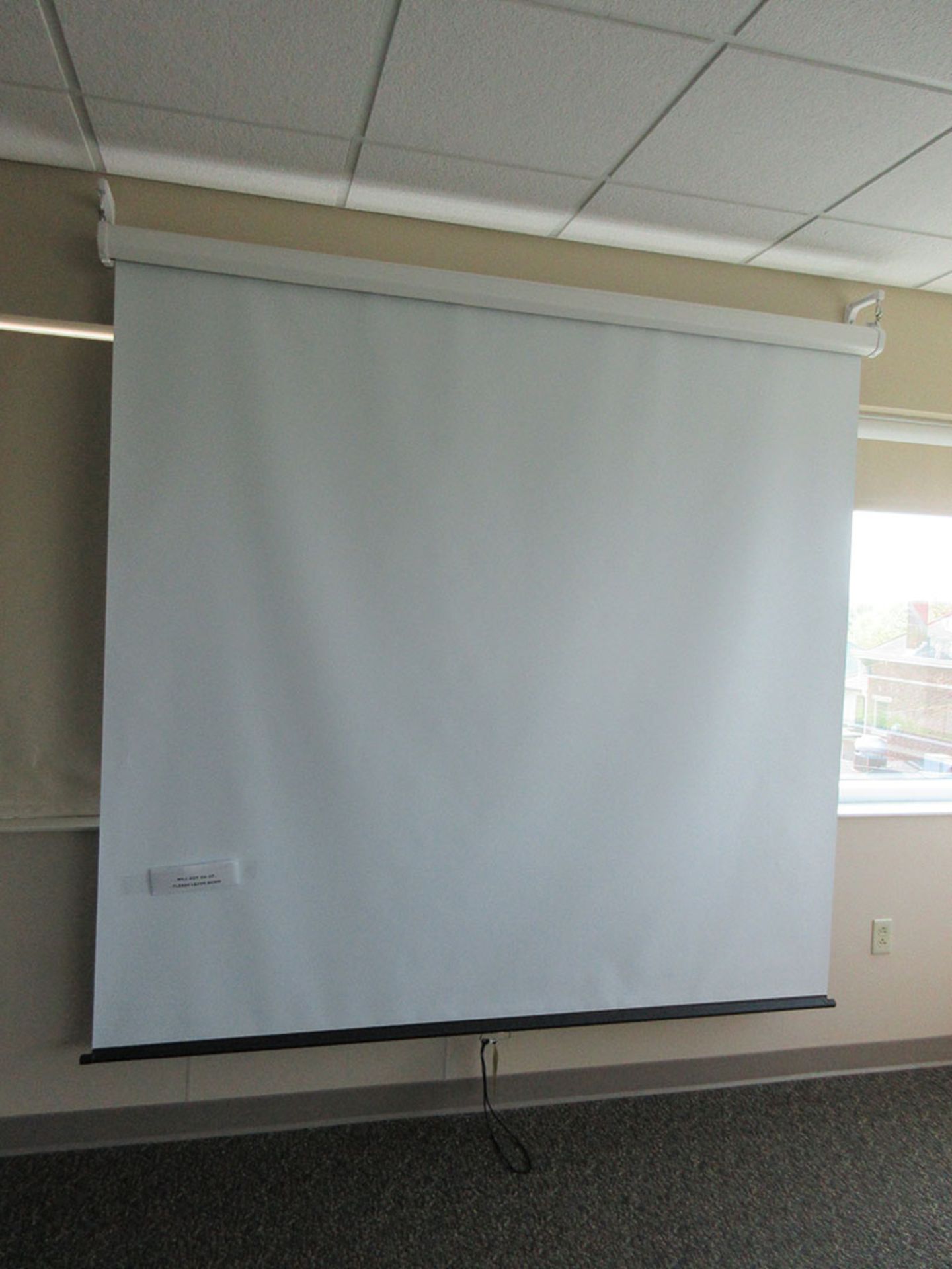 PROJECTOR SCREEN