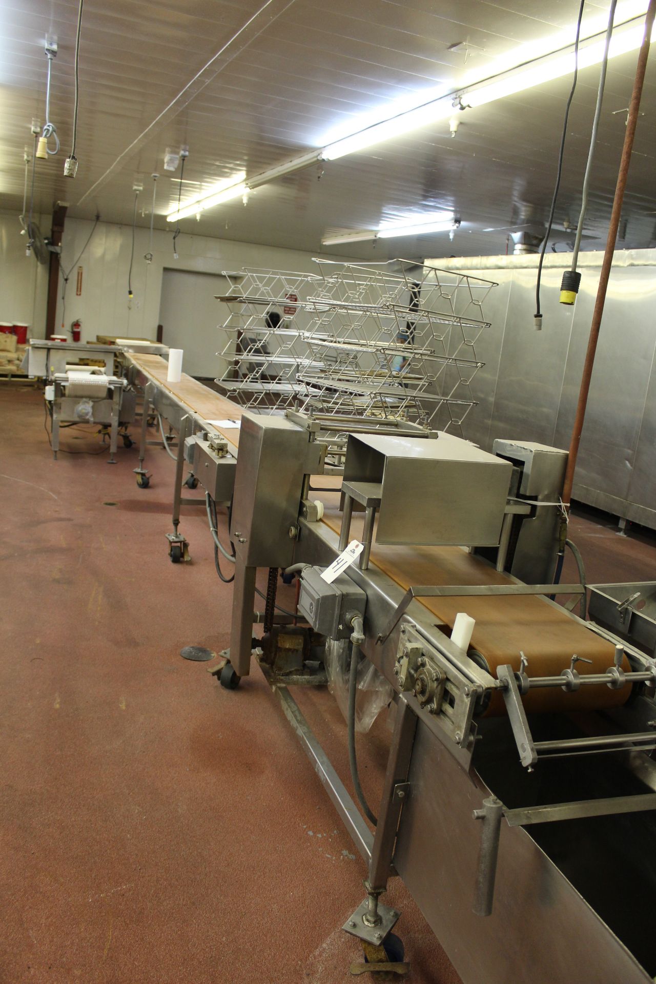 Manicotti Pasta Finishing Conveyor, W/ Slicer, 14" X 34' | Rigging Price: $900
