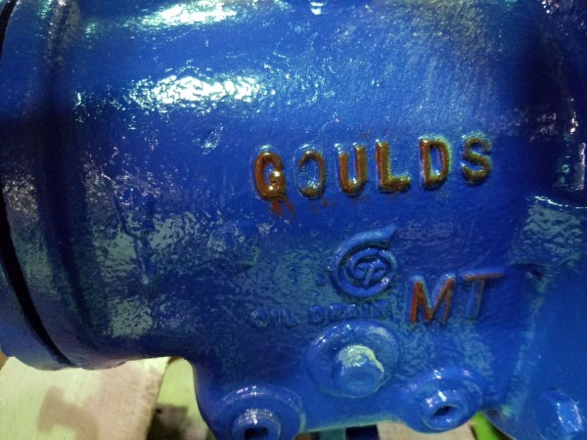 Goulds MT Pump | Seller to load for $10 per lot or buyers may remove hand carry items by - Image 2 of 2