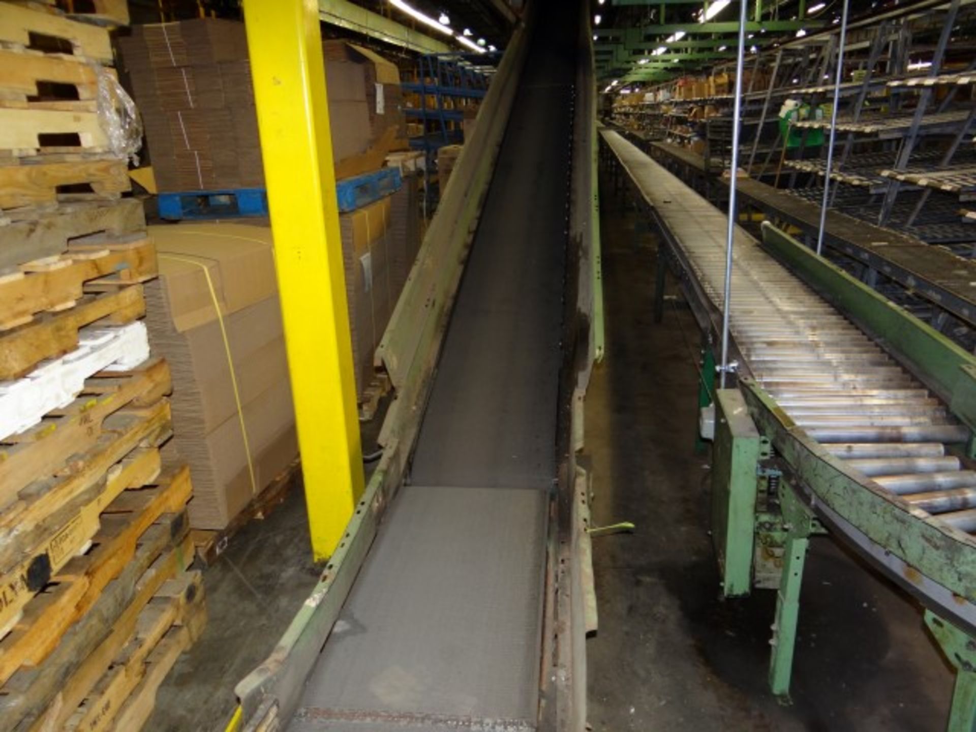 Line 4: The Single Pick Line Consisting of Approximately 250' of Roller Conveyor, 100' of Roller - Image 9 of 13