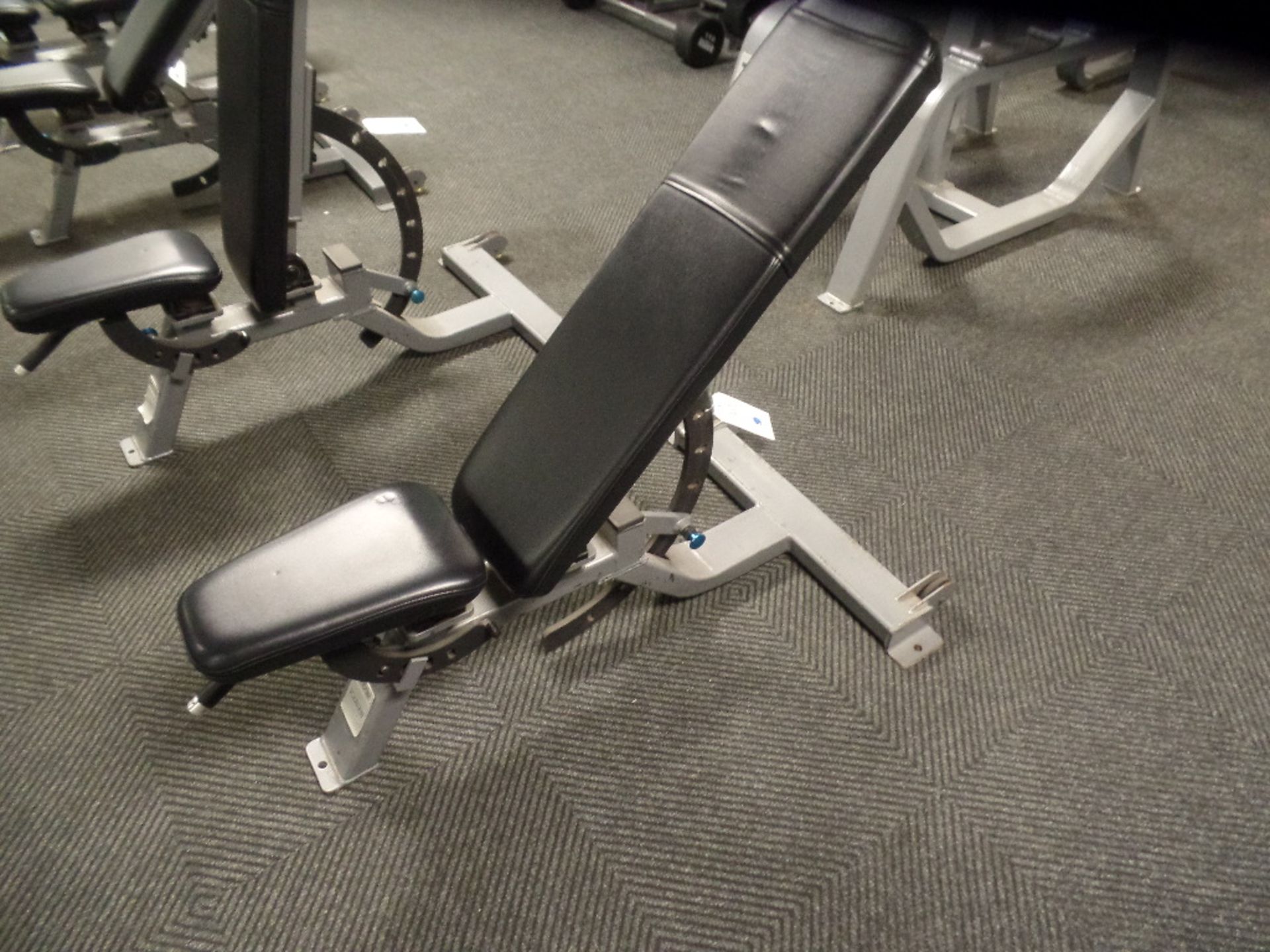 Precor Icarian Adjustable Dumbbell Bench