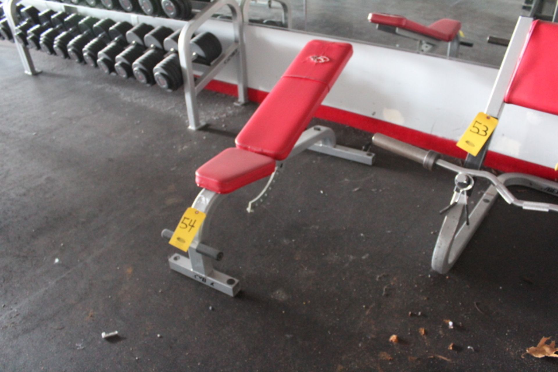 CYBEX ADJUSTABLE AB BENCH