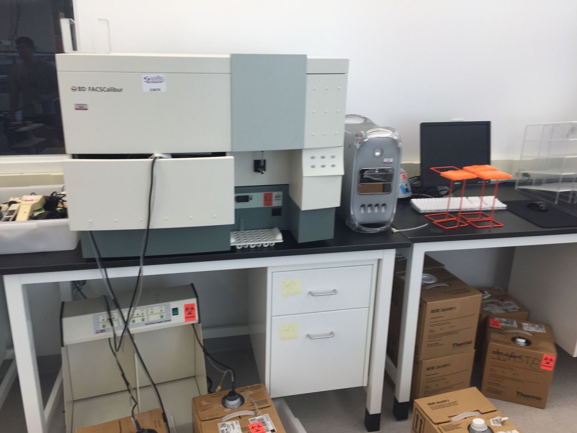 Becton Dickinson FACSCalibur Flow Cytometer