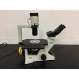 Olympus CK40 Microscope