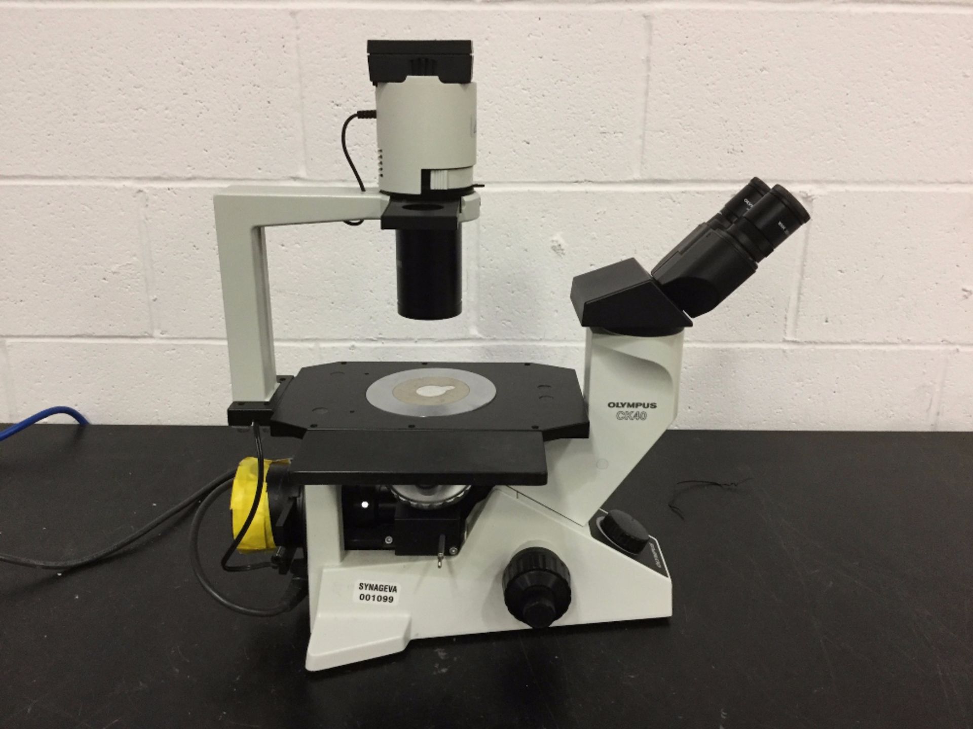 Olympus CK40 Microscope
