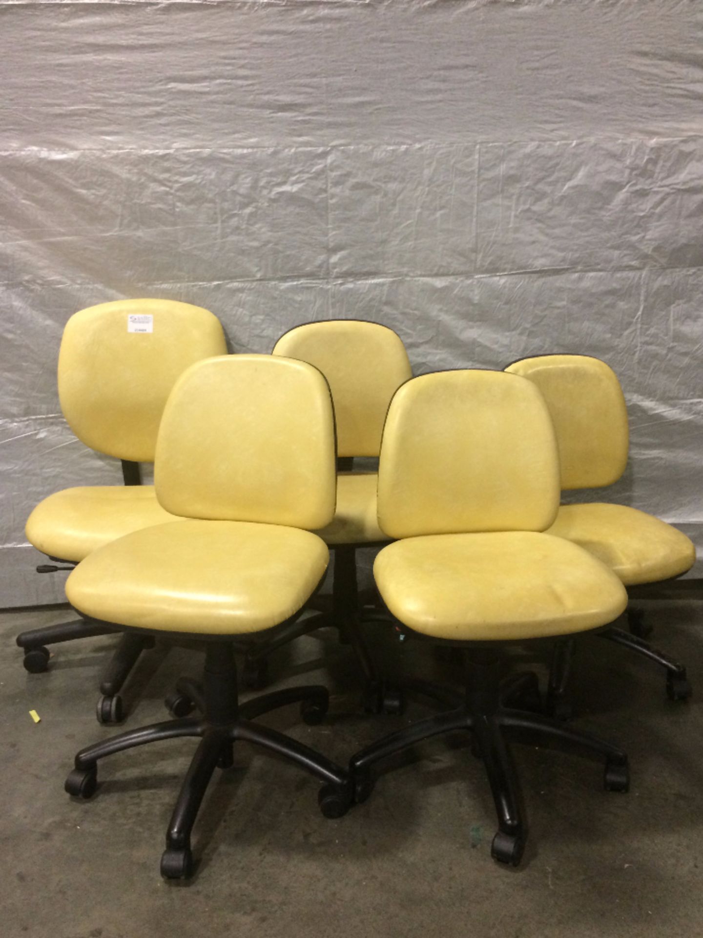 Lot of (5) Yellow Lab Chairs