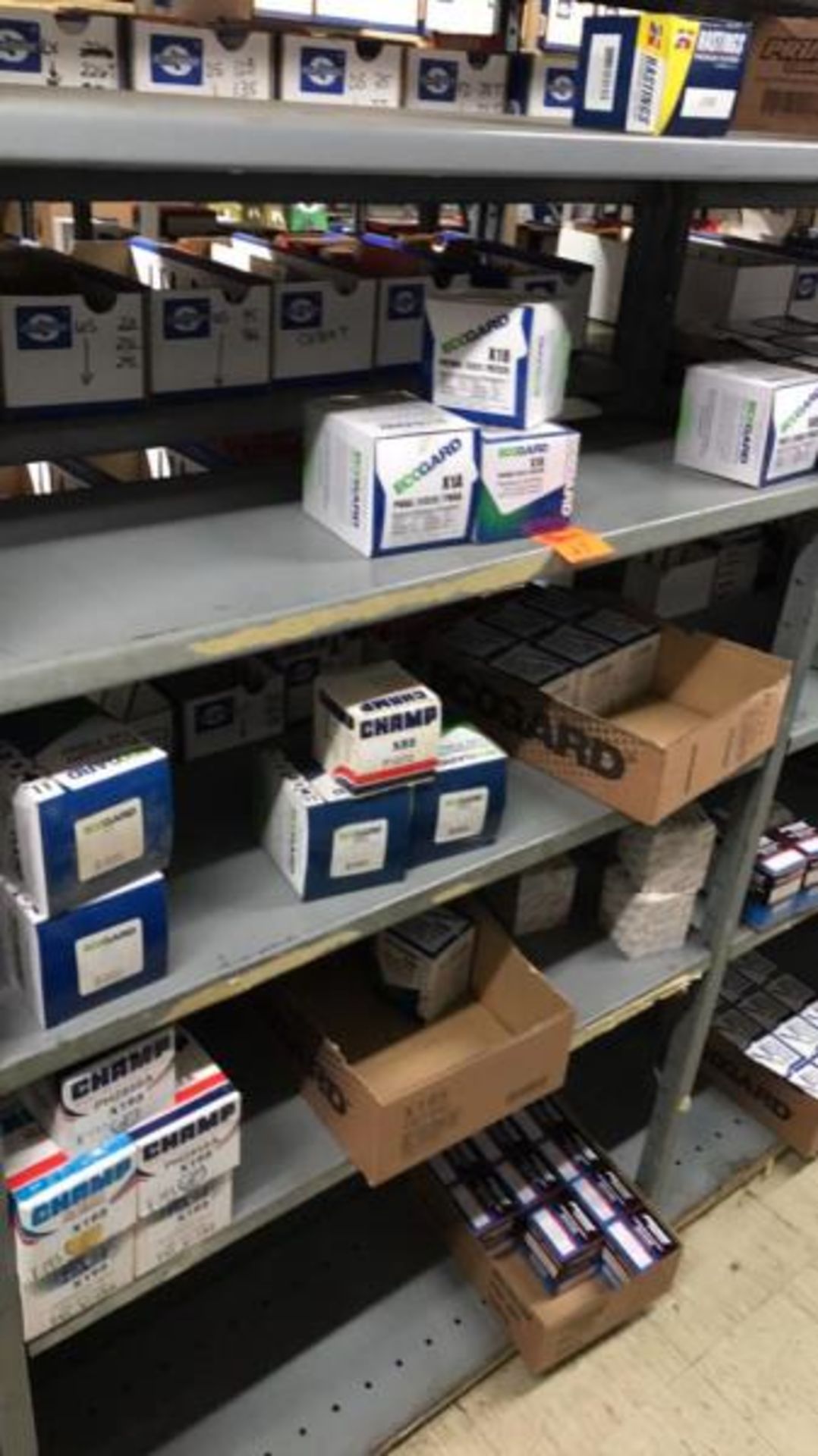 Lot of Oil Filters by ECOGuard Prime Guard Lot of Oil Filters by ECOGuard Prime Guard and Champ ( - Image 2 of 5
