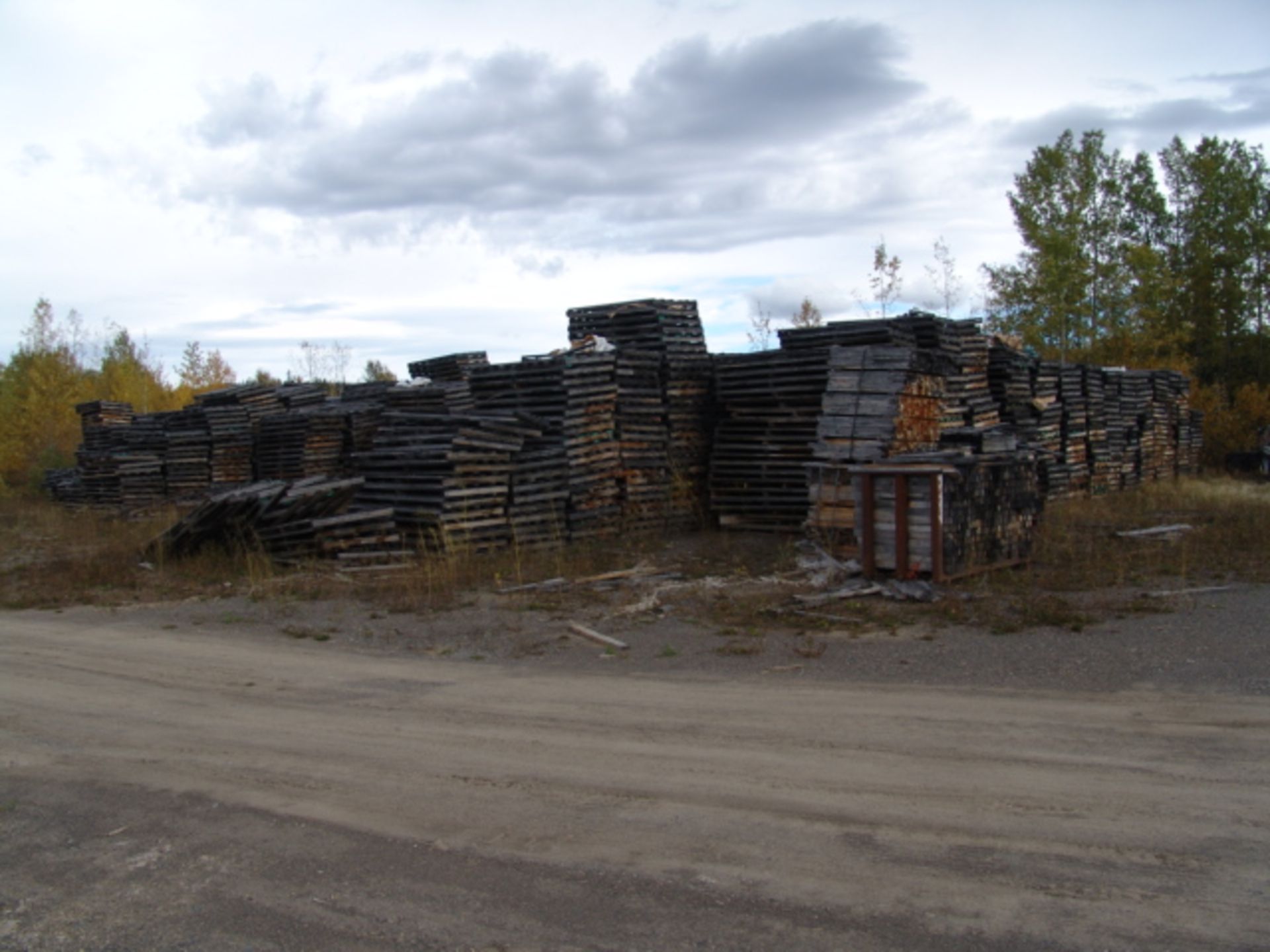 ALL PALLETS IN YARD AREA BY CHIP BINS